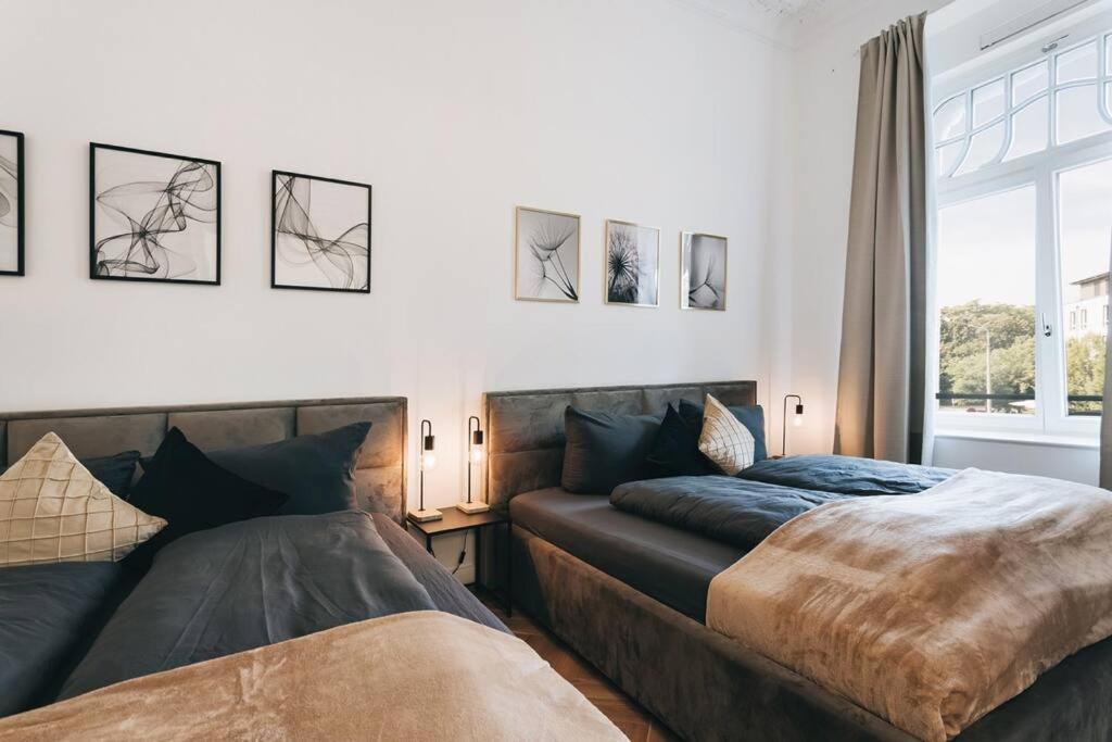 Tip! Design-Apartment In Toplage 75Qm In Szeneviertel Dresde Extérieur photo
